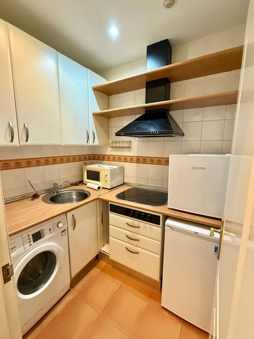 Piso en Barrio Lavapiés-Embajadores - Foto 36