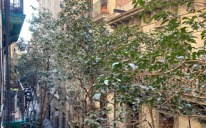 Piso en Calle de Tordera, 27, Vila de Gràcia - Foto 18