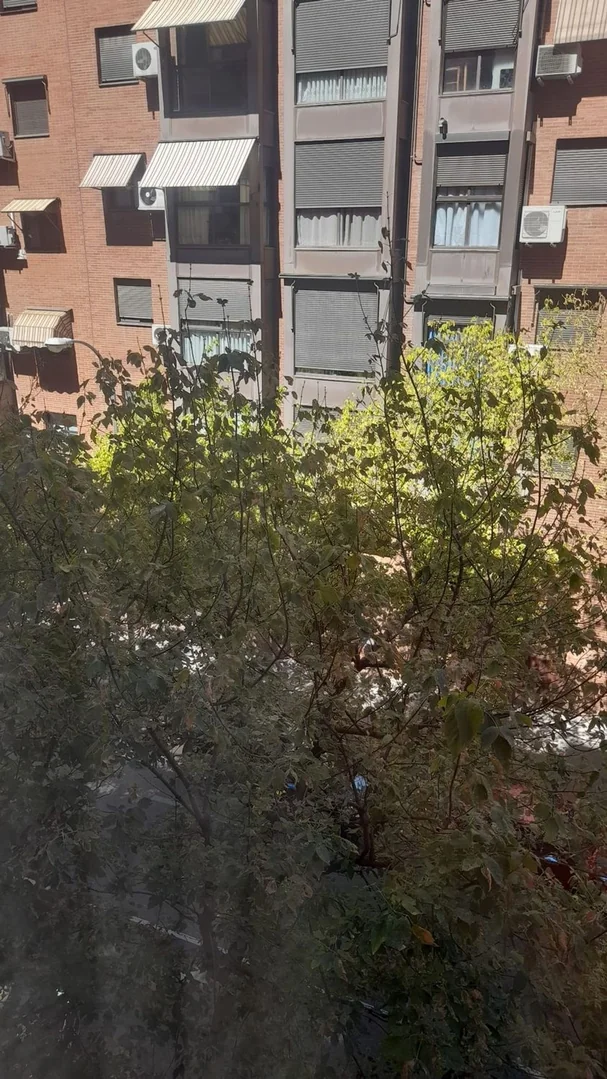Piso en Calle del Majuelo, 1, Acacias - Foto 17