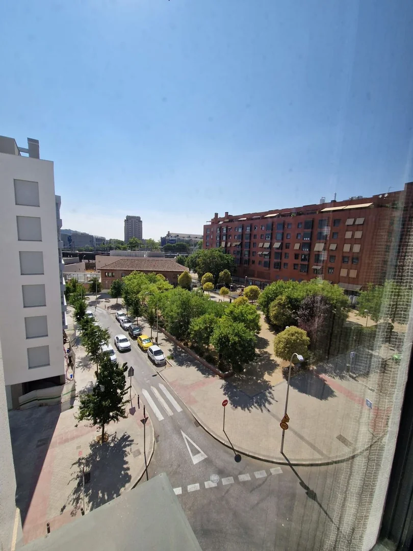 Piso en Calle de Barrilero, 5, Adelfas - Foto 4
