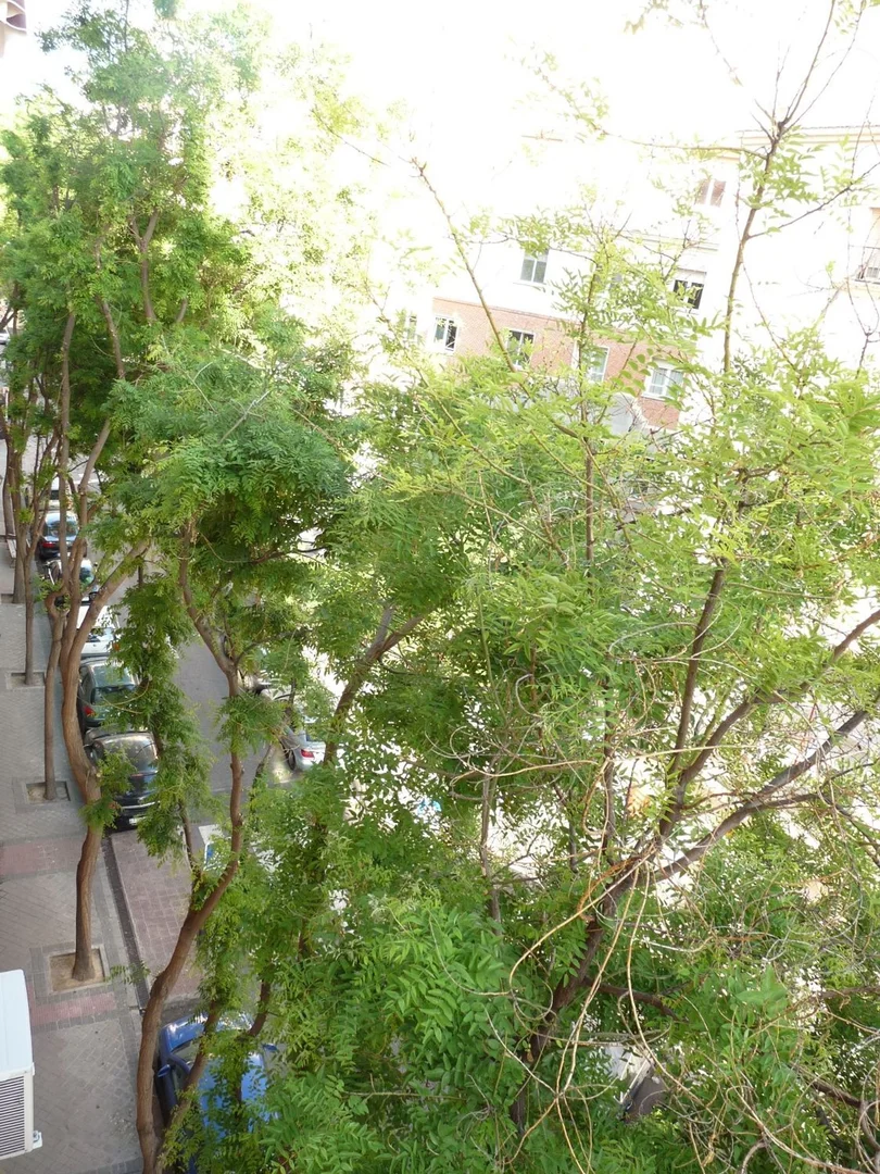 Piso en calle de embajadores, 158 - Foto 15