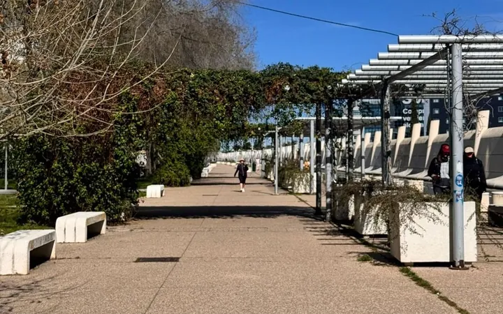 Piso en Calle de Zapatoca, 8, Pinar del Rey - Foto 19