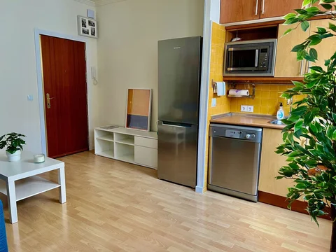 Alquiler de estudio en Calle Pizarro, 17 - Foto 13