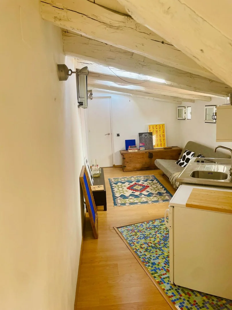 Ático en Plaza de Cascorro, 2, Lavapiés-Embajadores - Foto 2