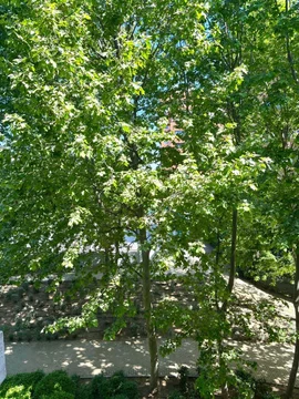 Alquiler de piso en Calle de Costa Rica, 13 - Foto 32