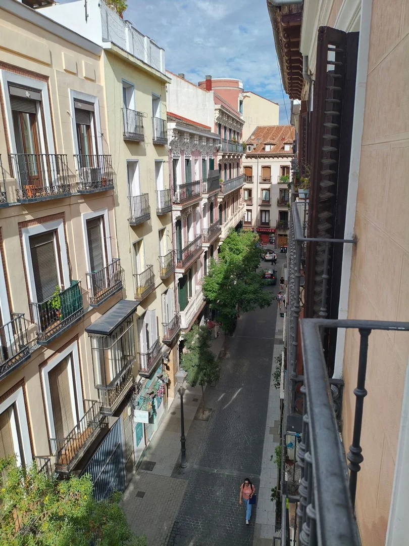 Estudio en Calle hernán cortés, 14 - Foto 10