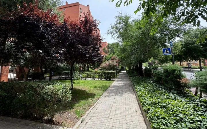 Piso en Calle del Puerto de Navacerrada, 27, Numancia - Foto 28