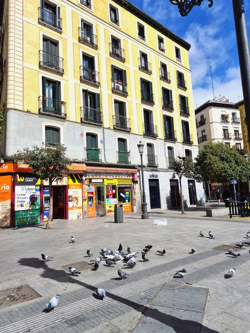 Piso en Lavapiés-Embajadores - Foto 45