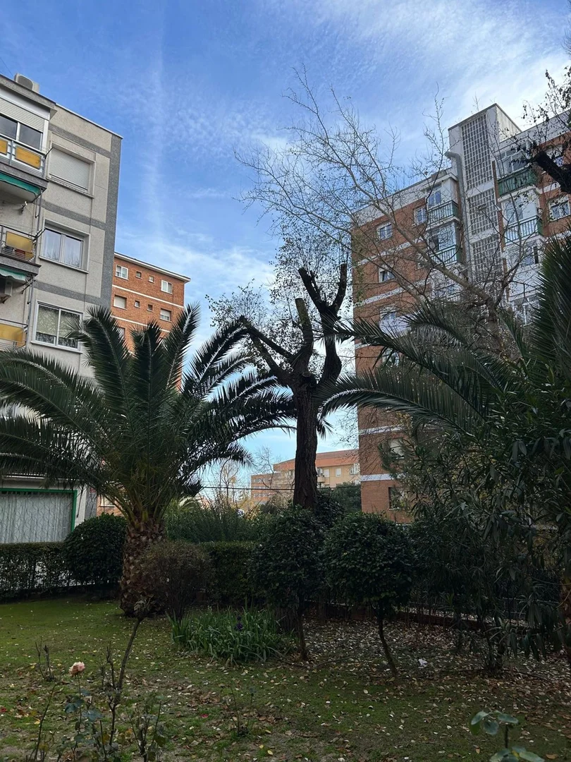 Piso en calle de Valle Inclán, 58 - Foto 14