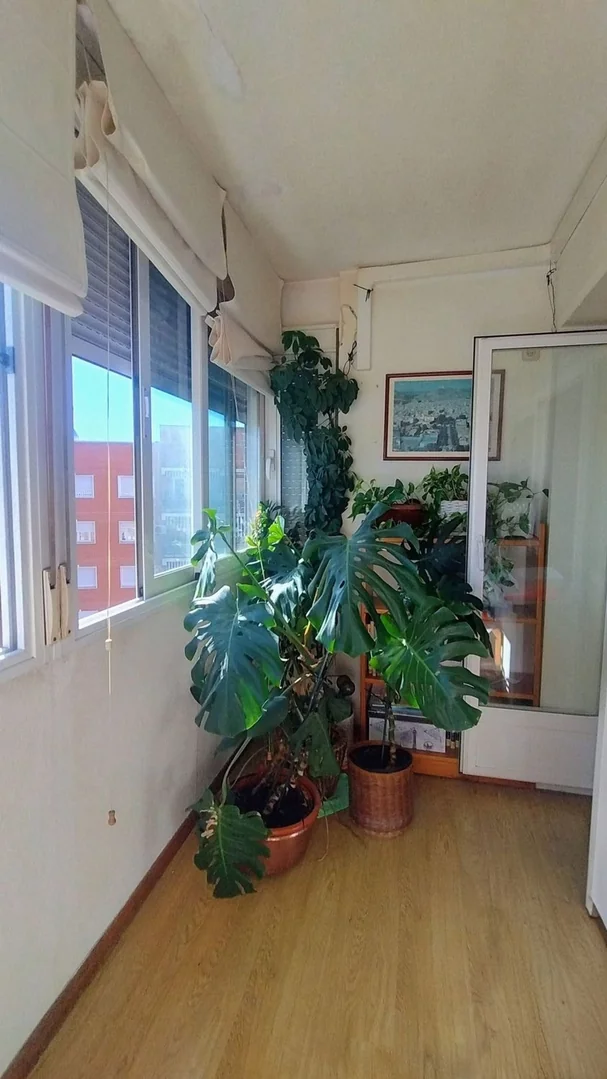 Piso en Calle de Santa Virgilia, 5, Pinar del Rey - Foto 32