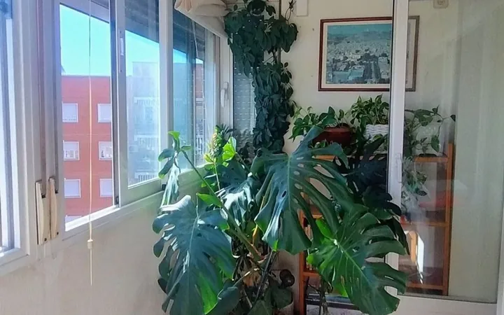 Piso en Calle de Santa Virgilia, 5, Pinar del Rey - Foto 32