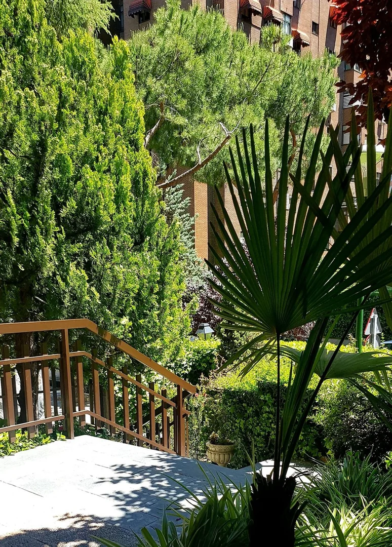 Piso en Alfredo Marquerie, 12, La Paz - Foto 5