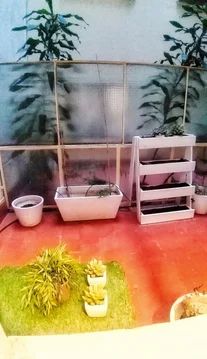 Estudio en calle de Rodríguez San Pedro, 25 - Foto 5