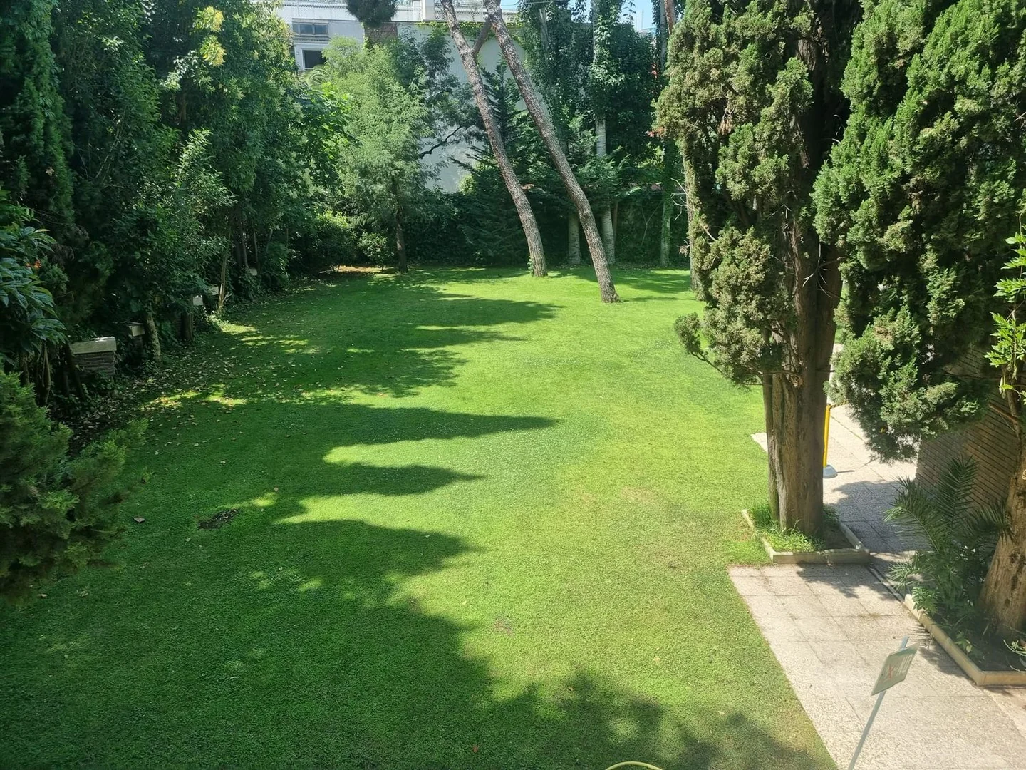 Piso en El Viso, El Viso - Foto 2