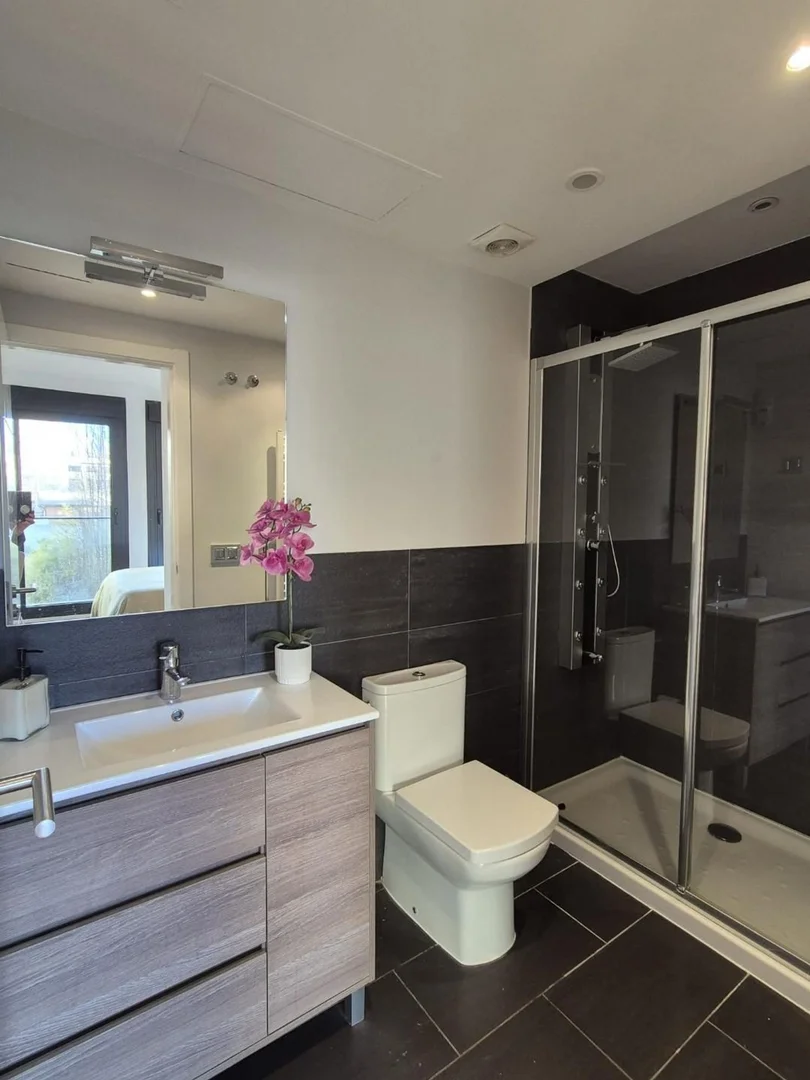 Estudio en calle de García de Paredes, 12 - Foto 6