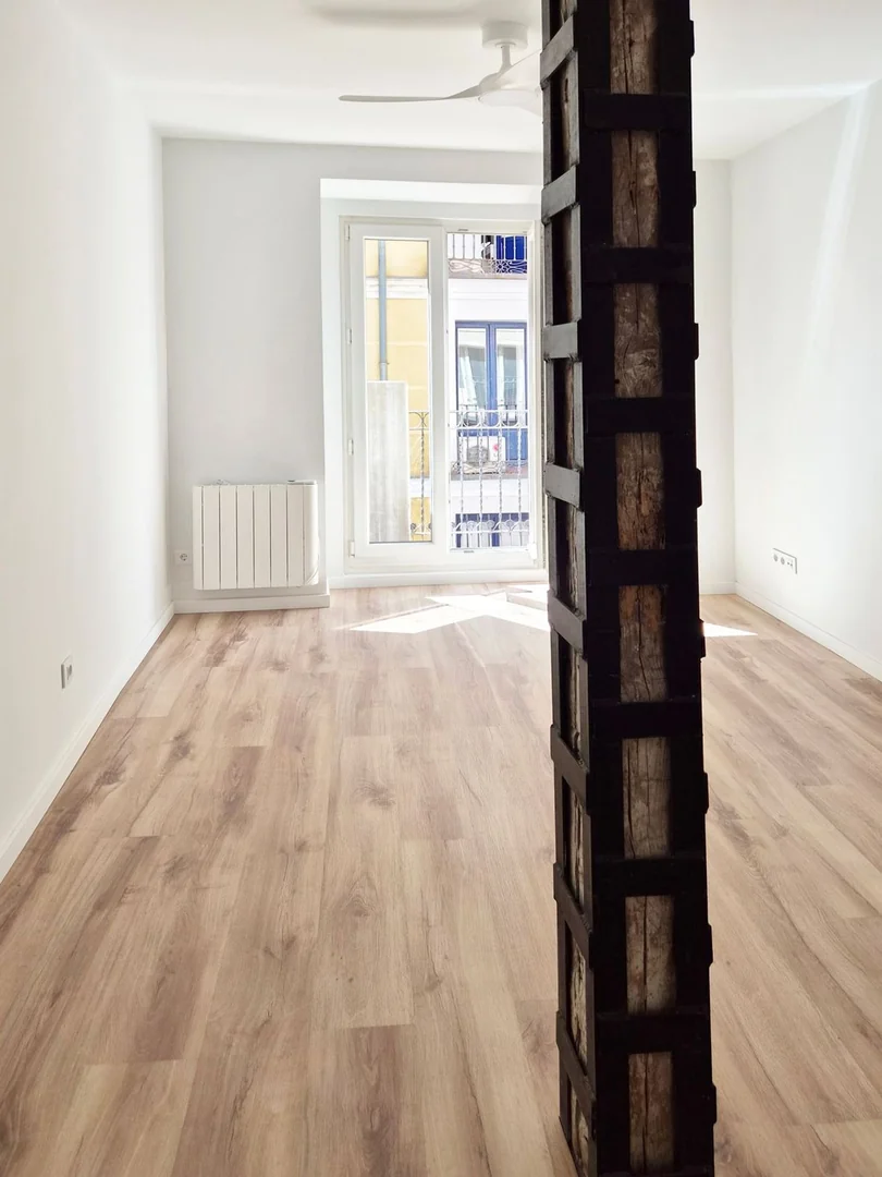 Piso en Calle de Casto Plasencia, 5, Malasaña-Universidad - Foto 2