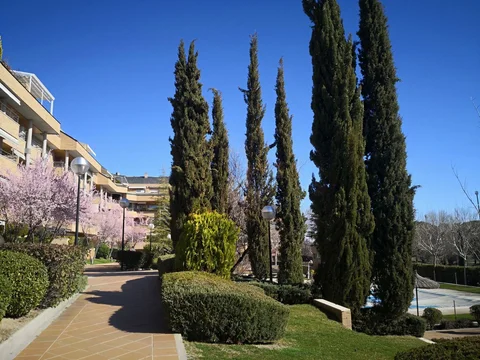 Piso en calle Las Norias, 161 - Foto 16