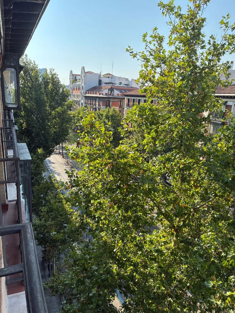 Piso en Calle de Sagasta, 3, Trafalgar - Foto 2