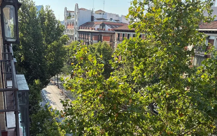 Piso en Calle de Sagasta, 3, Trafalgar - Foto 2