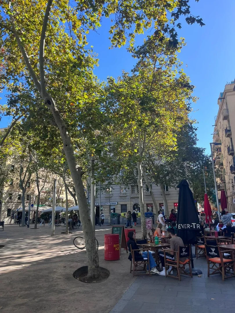 Piso en Calle de Sant Carles, 16, La Barceloneta - Foto 33