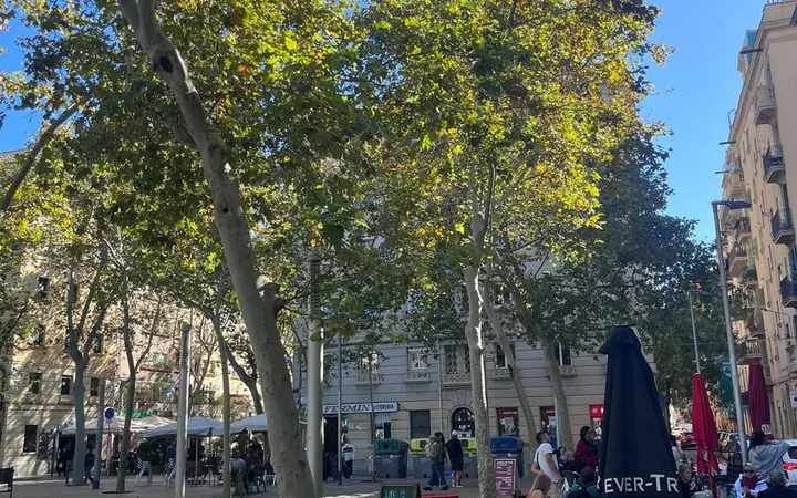 Piso en Calle de Sant Carles, 16, La Barceloneta - Foto 33