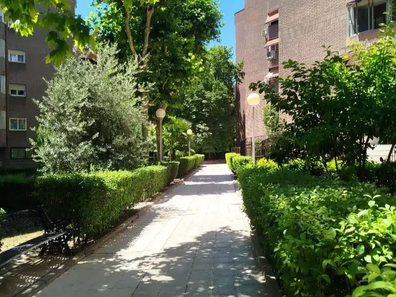 Apartamento en  Calle de Arganda 34 - Foto 21