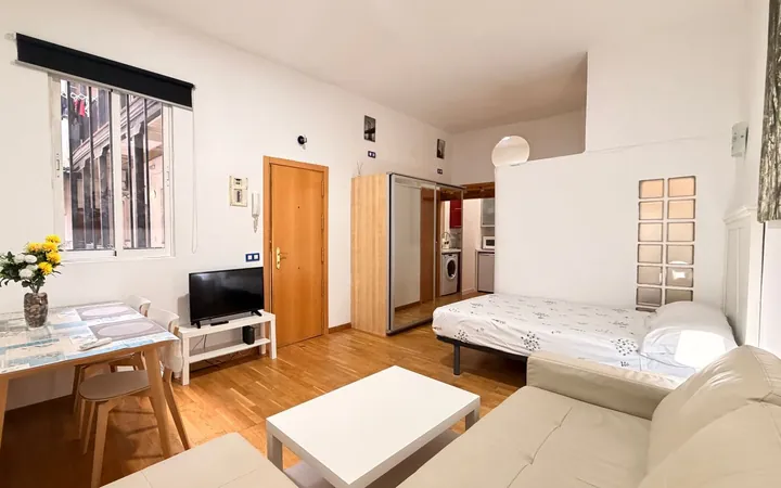Estudio en Limón, 16, Almendrales - Foto 14