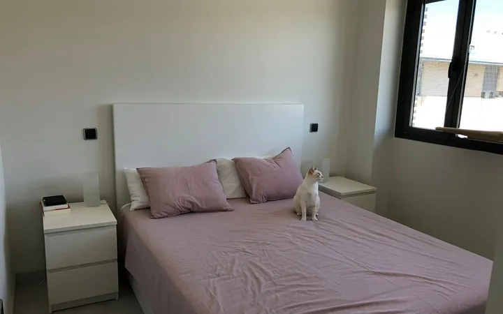 Ático en Calle de Miguel Aracil, 39, Peñagrande - Foto 11