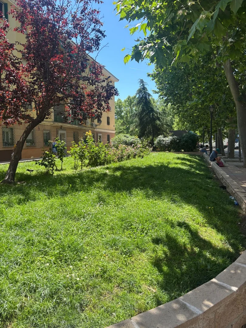 Piso en Plaza de Coímbra, Abrantes - Foto 2