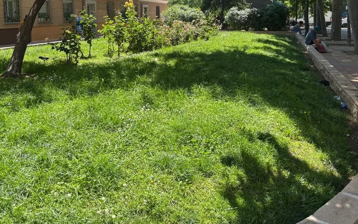 Piso en Plaza de Coímbra, Abrantes - Foto 2