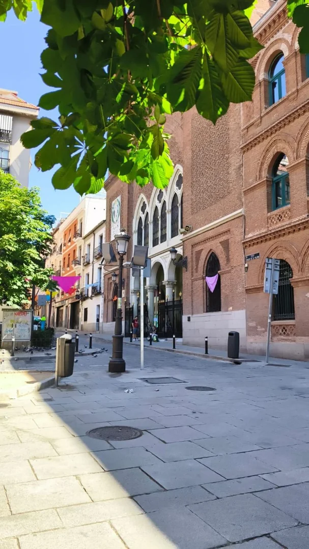 Piso en Calle de la Paloma, 8, Palacio - Foto 8