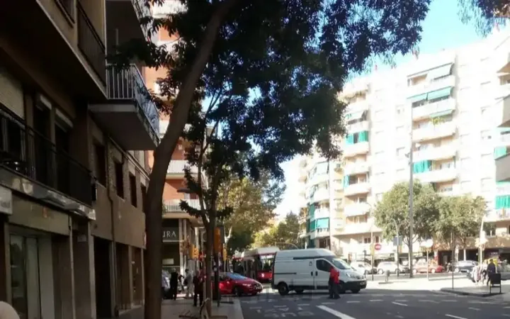 Planta baja en  N-340 405 - Foto 7