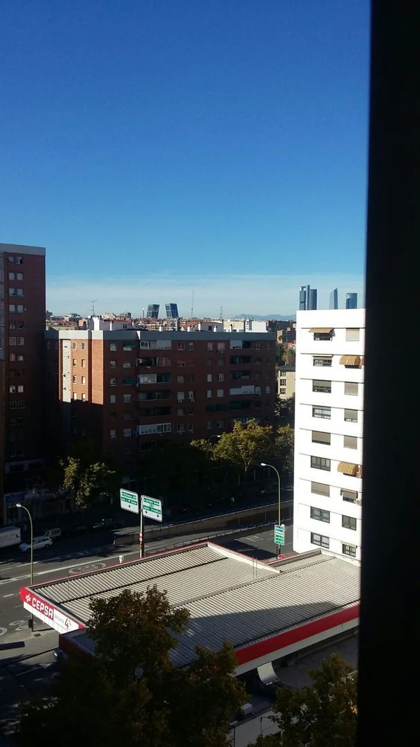 Piso en Calle Luis de Salazar, 12, Prosperidad - Foto 8