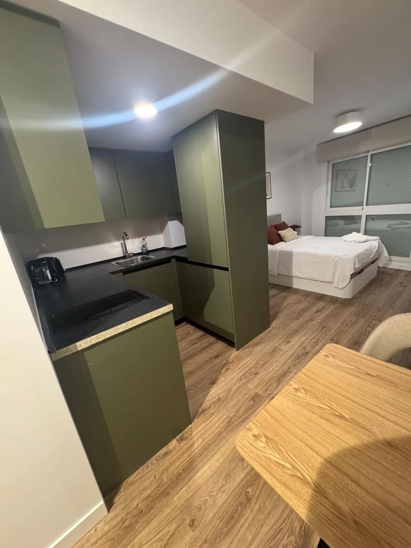 Estudio en Calle del Toboso, 15, San Isidro - Foto 15