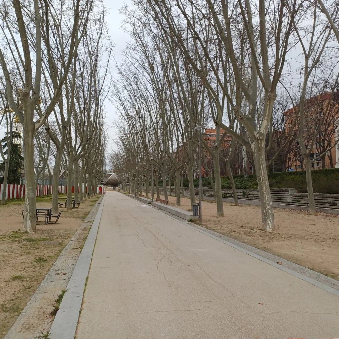 Ático en calle de la Arquitectura, 7 - Foto 34