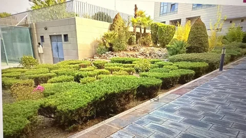 Dúplex en Barrio Sanchinarro - Foto 3