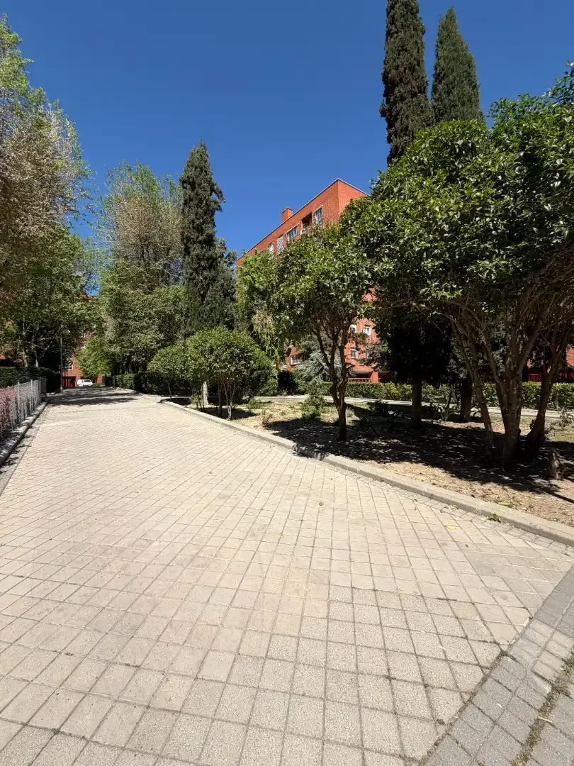 Local comercial en  Calle de Luis de Hoyos Sainz - Foto 5