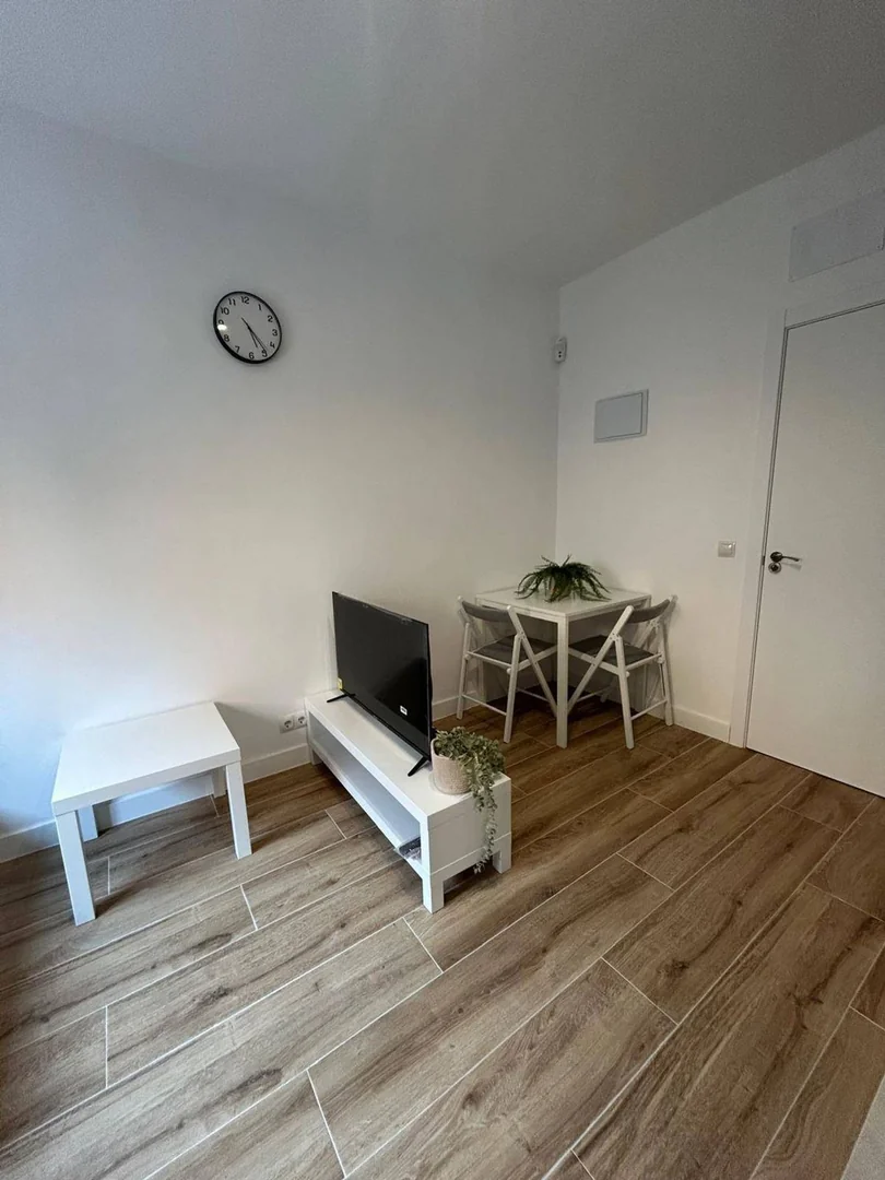 Estudio en Calle de Pío Baroja, 1 - Foto 4