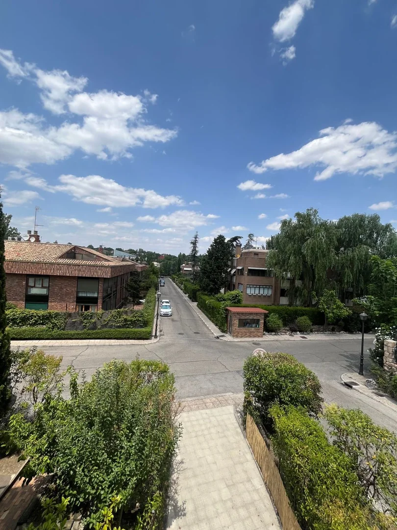 Piso en Calle de la Fuente del Romero, 16, Aravaca - Foto 9