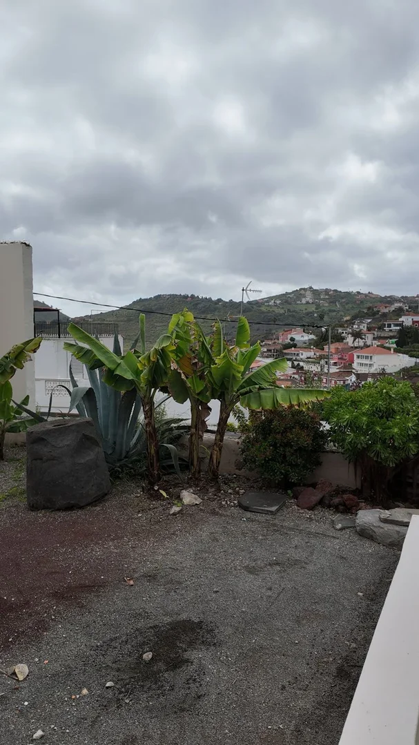 Casa independiente en carretera del Centro Monte Lentiscal, 99 - Foto 17