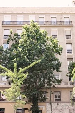 Piso en calle del Príncipe de Vergara, 95 - Foto 15