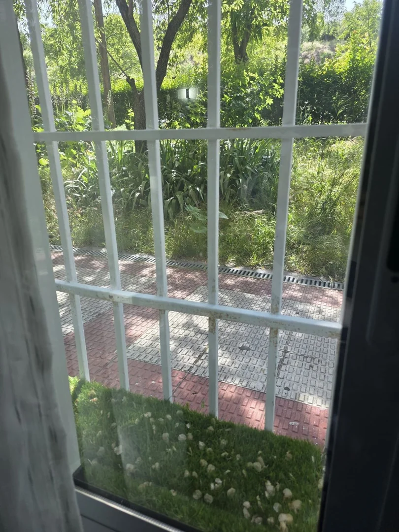 Piso en Quinta (c Pegaso), Rejas - Foto 20