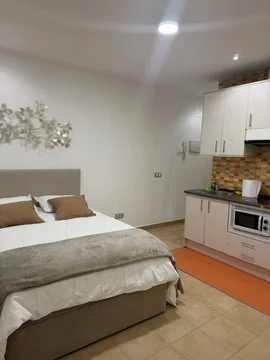 Estudio en calle de Hermosilla, 145 - Foto 3