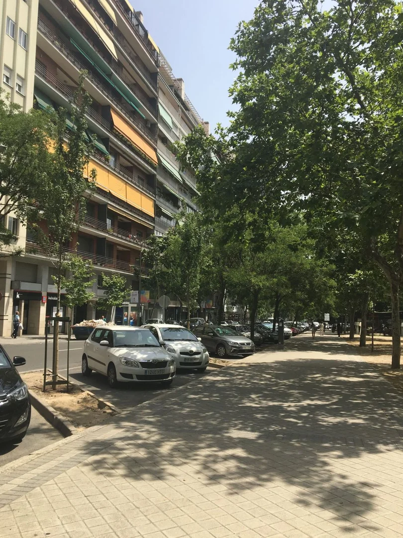 Piso en paseo de la Castellana, 172 - Foto 1