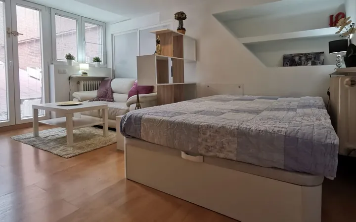 Estudio en Calle de La Masó, 99, Mirasierra - Foto 10