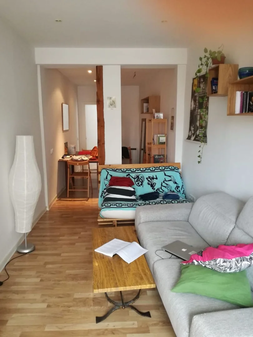 Piso en Calle Salitre, 27, Lavapiés-Embajadores - Foto 6