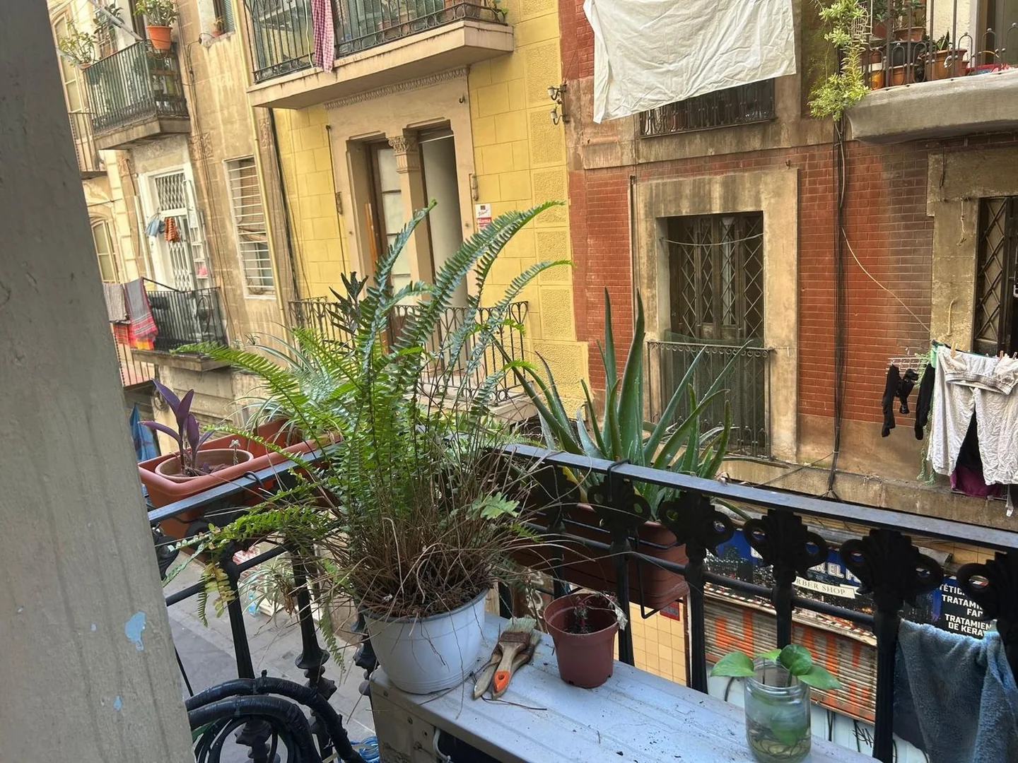 Piso en Plaza del Pedró, 7, El Raval - Foto 4