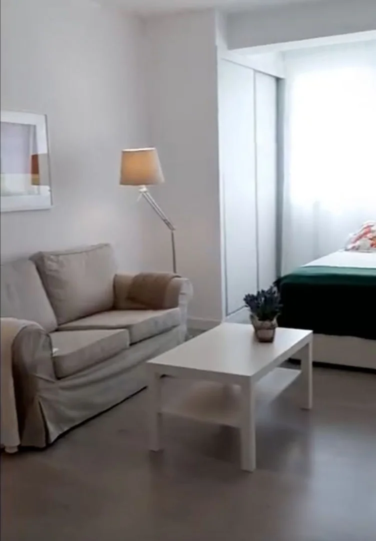 Estudio en Calle Arquitecto Gaudí, 1, Nueva España - Foto 15