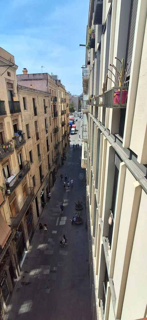 Ático en Calle dels Tallers, 50, El Raval - Foto 2