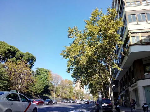 Piso en Barrio Niño Jesús - Foto 2